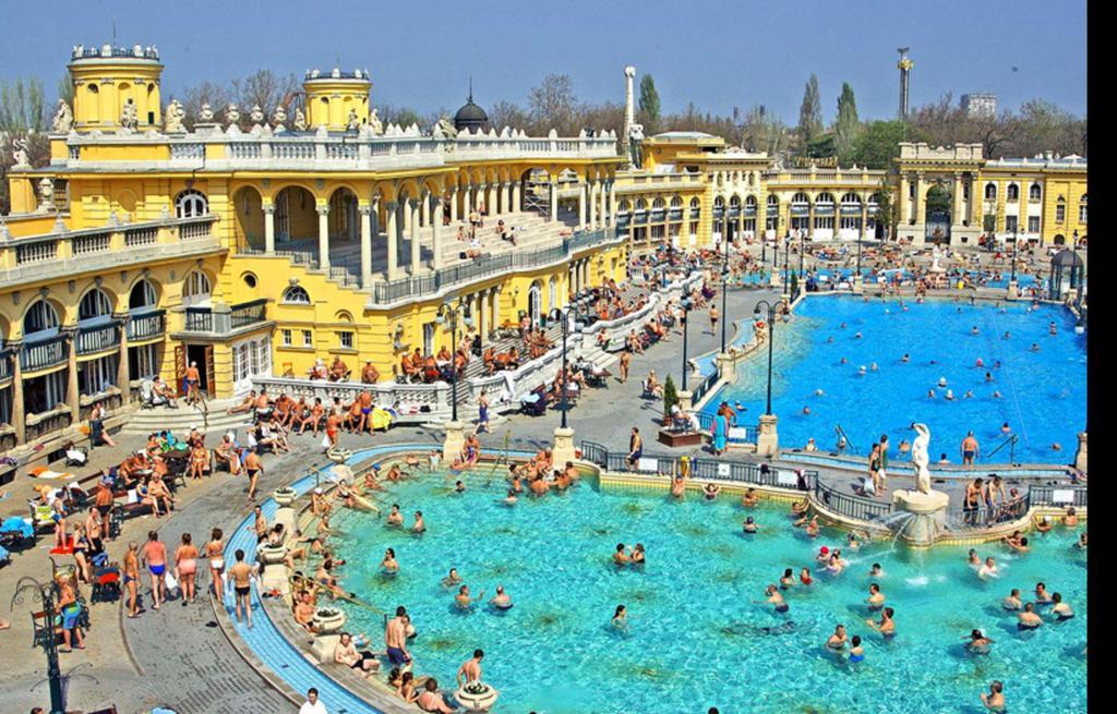 City Park Apartment Budapest Rum bild