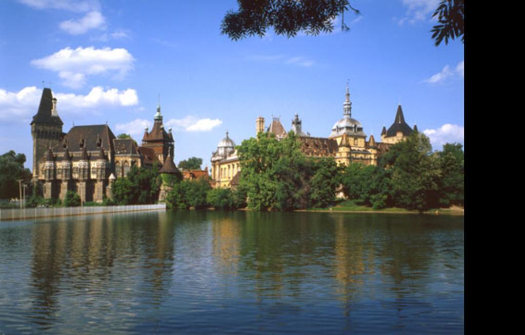 City Park Apartment Budapest Rum bild